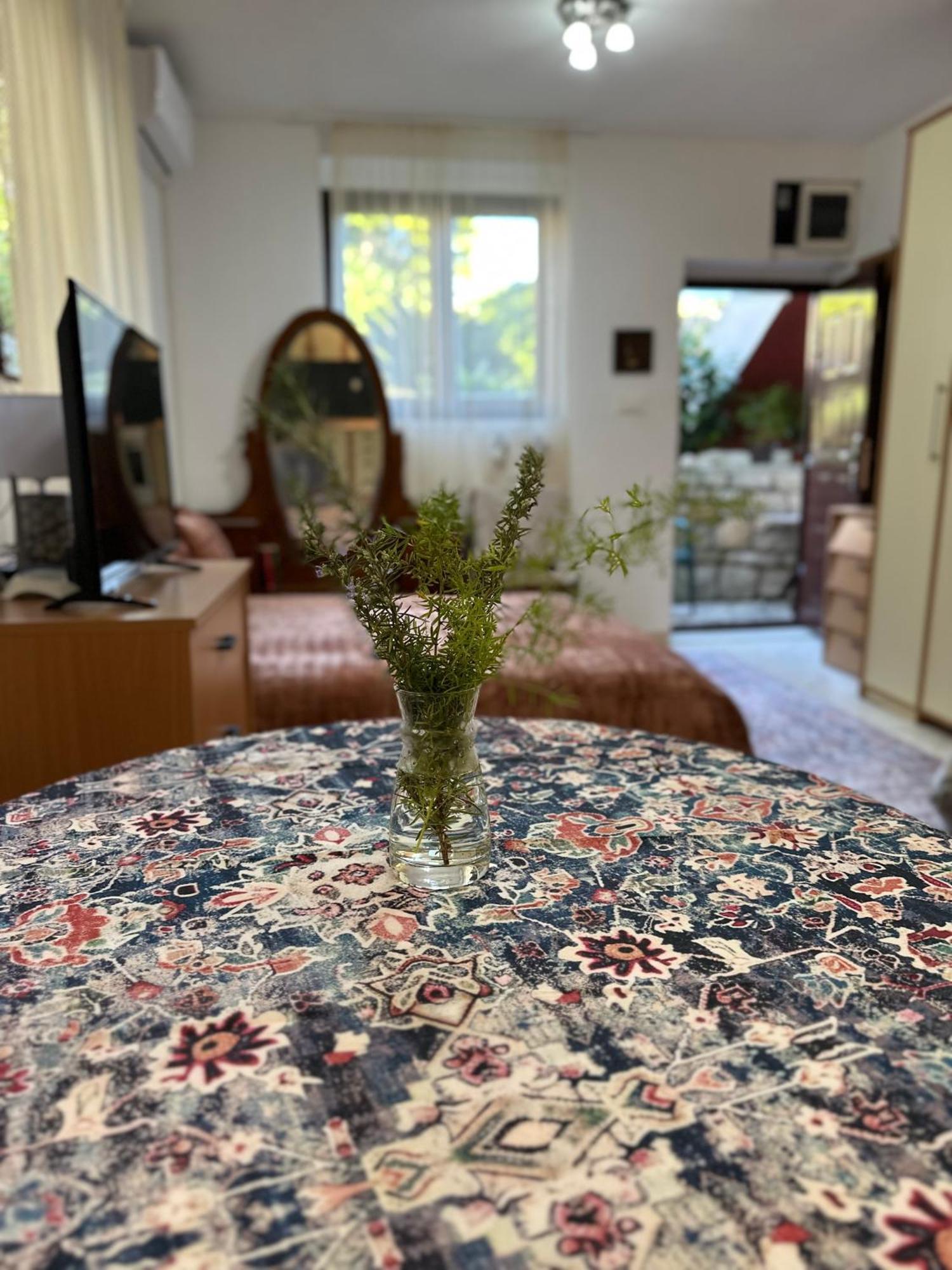 הרצג-נובי Studio Apartment Palma מראה חיצוני תמונה